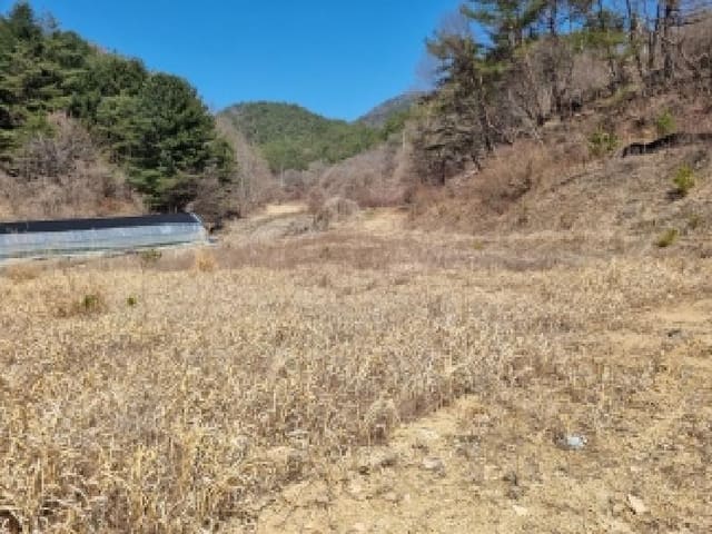 B000280202601306004463.jpg