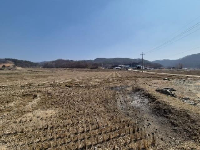 B000280202601306004881.jpg