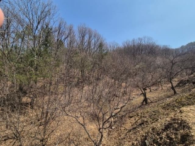 B000280202601306005251.jpg