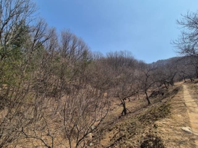 B000280202601306005253.jpg