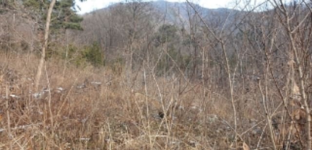 B000281202301300211561.jpg