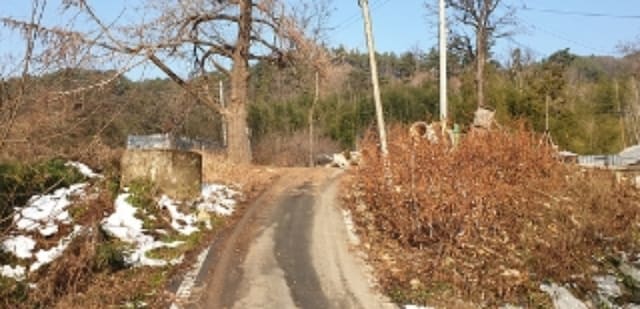 B000281202301300211564.jpg