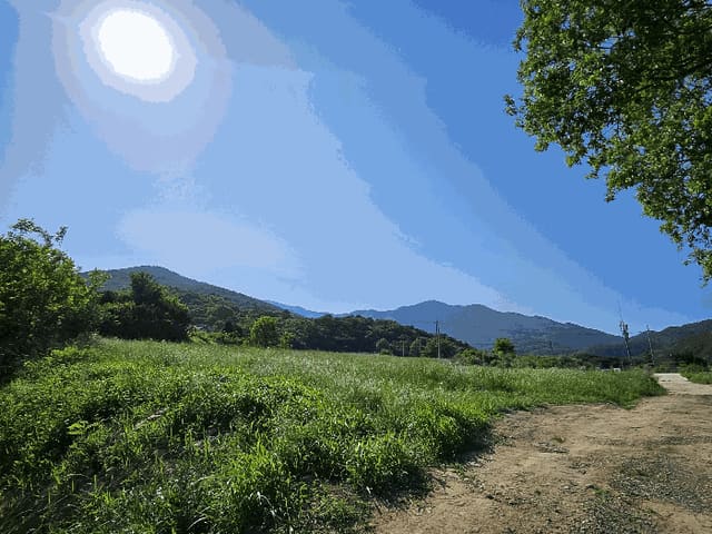 B000281202401300000884.jpg