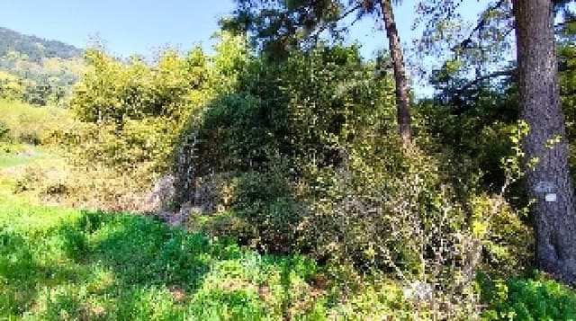 B000281202501300009791.jpg