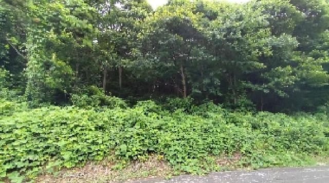 B000281202501300010361.jpg
