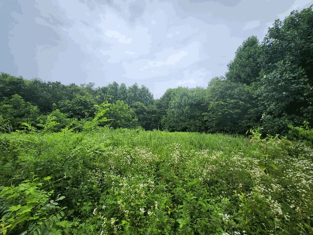 B000281202501300010369.jpg