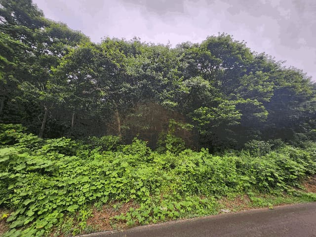 B0002812025013000103610.jpg