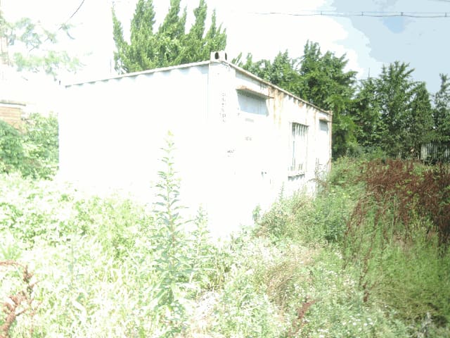 B000281202501300011044.jpg