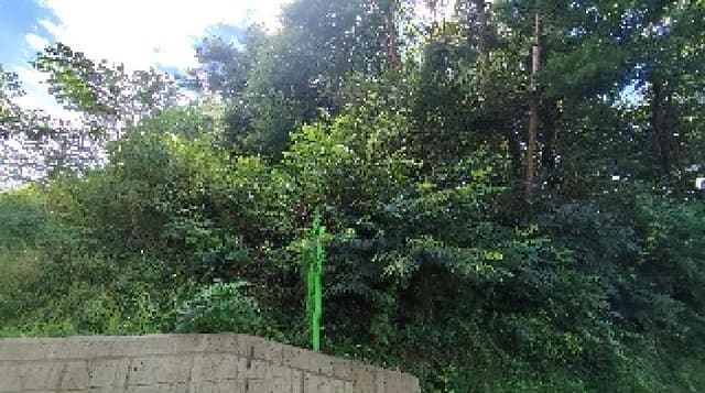 B000281202501300011412.jpg
