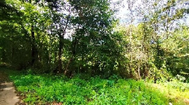 B000281202501300011411.jpg