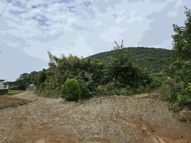 B000281202501300011554.jpg