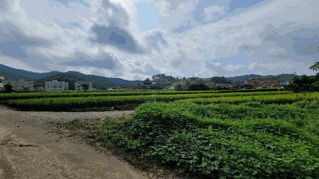 B000281202501300011564.jpg