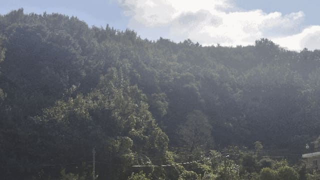 B000281202501300011764.jpg