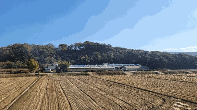 B000281202501300012074.jpg
