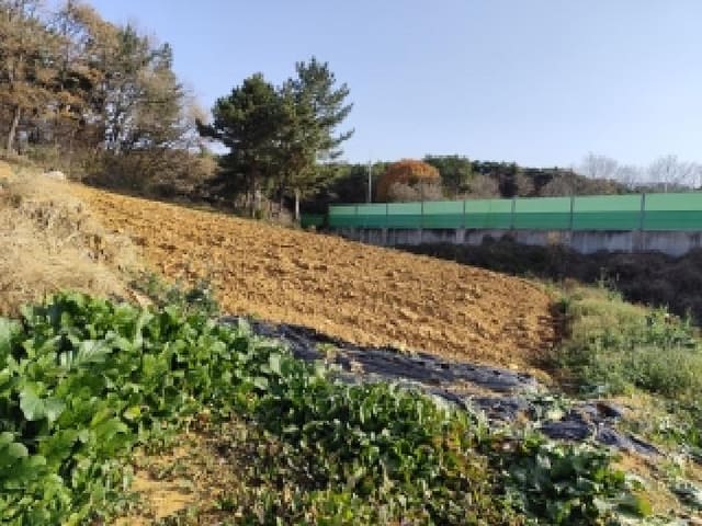 B000281202501300012291.jpg