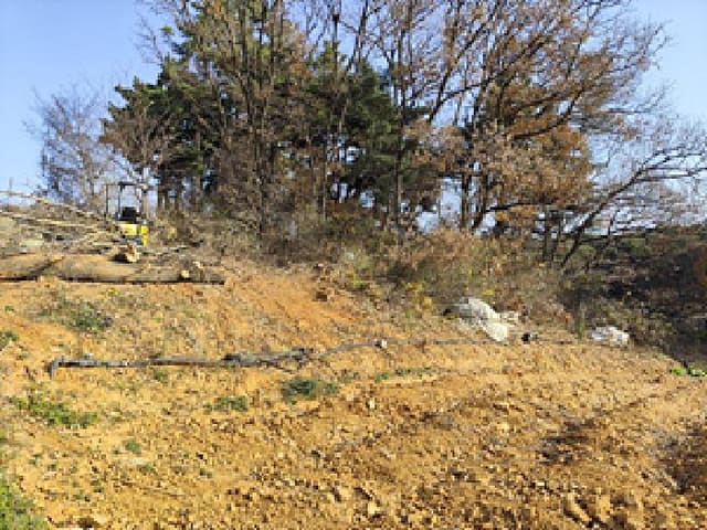 B000281202501300012293.jpg