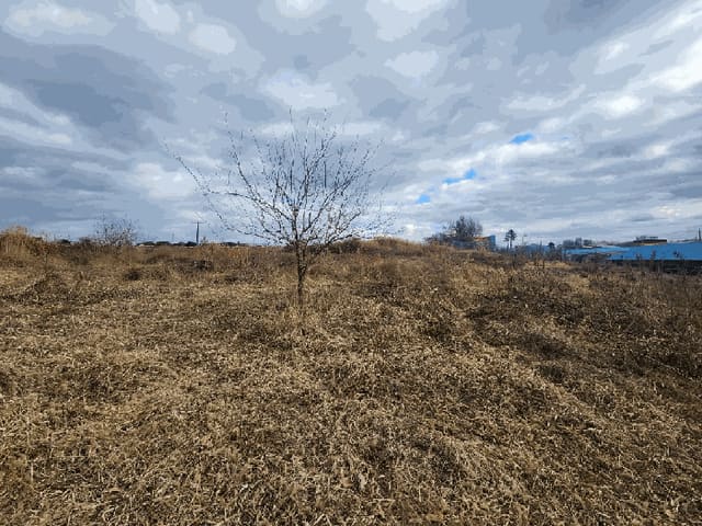 B000281202501300012362.jpg