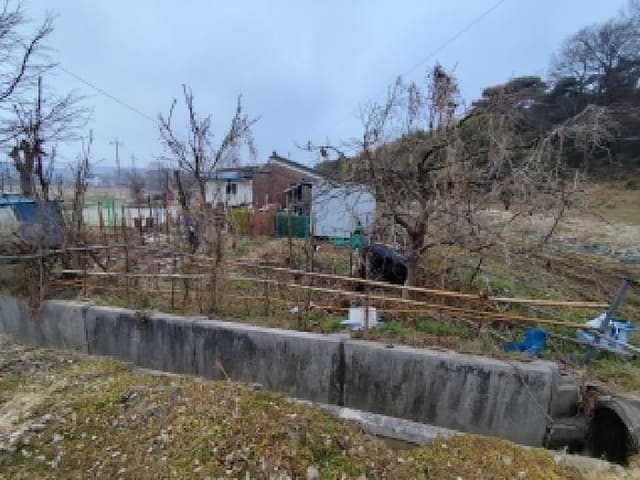 B000281202501300012461.jpg