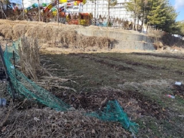 B000281202501300012683.jpg