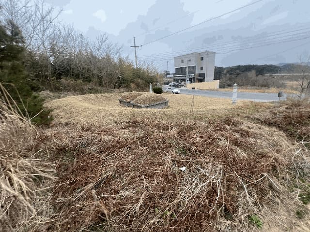 B000281202501300155914.jpg