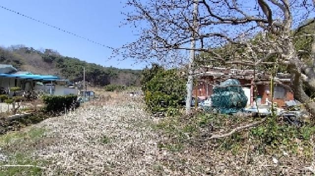 B000281202501300155951.jpg