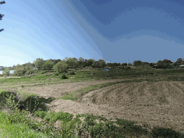 B000281202501300156533.jpg