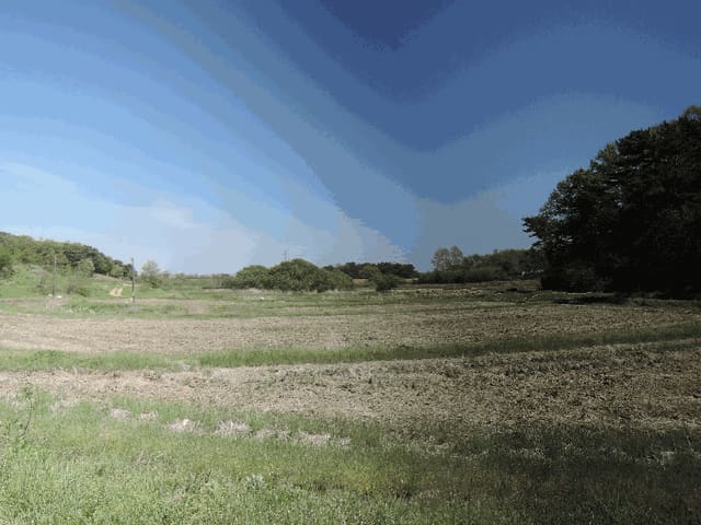 B000281202501300156531.jpg