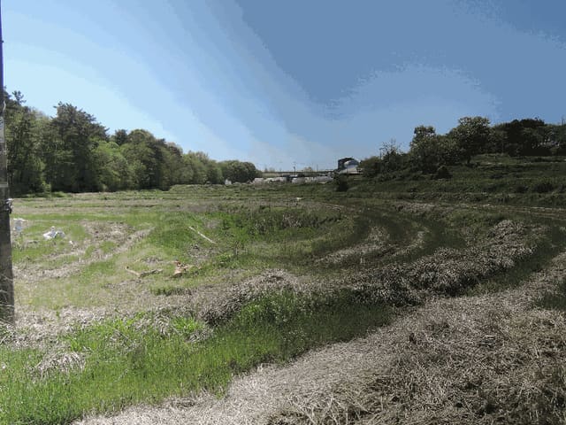 B000281202501300156532.jpg