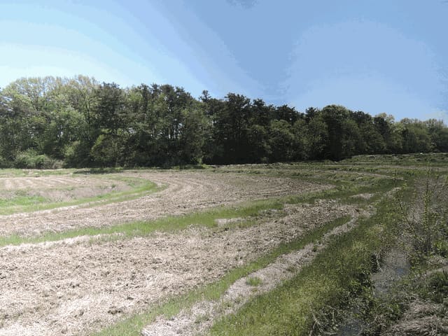 B000281202501300156534.jpg