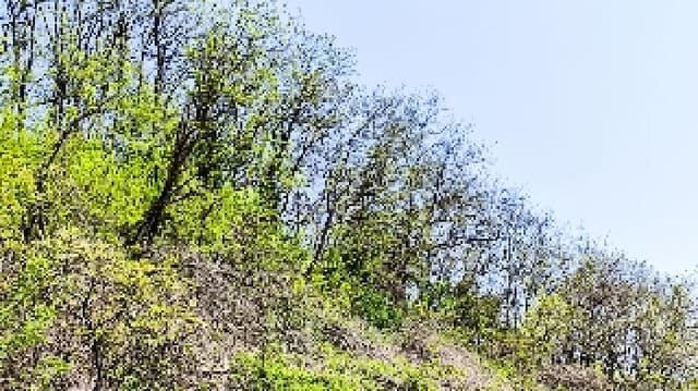 B000281202501300156582.jpg