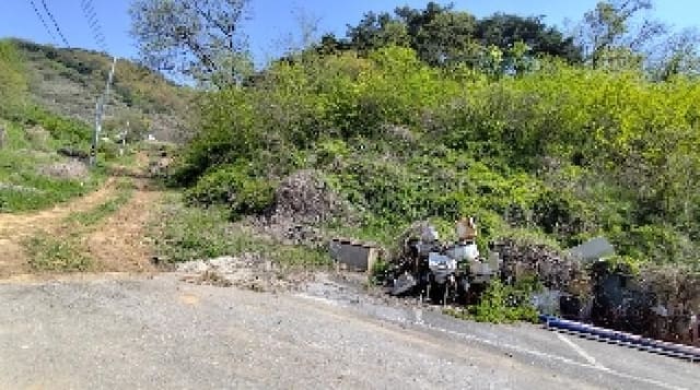 B000281202501300156581.jpg