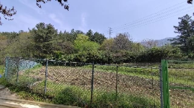 B000281202501300156654.jpg