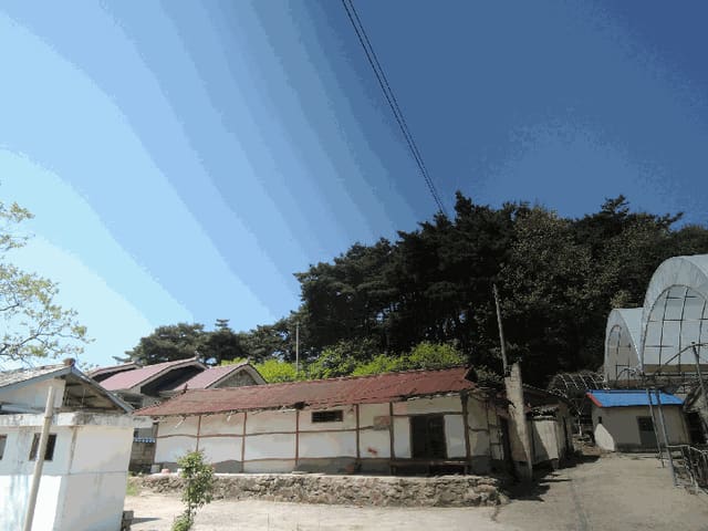 B000281202501300156784.jpg