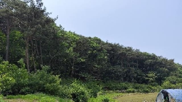 B000281202501300157042.jpg