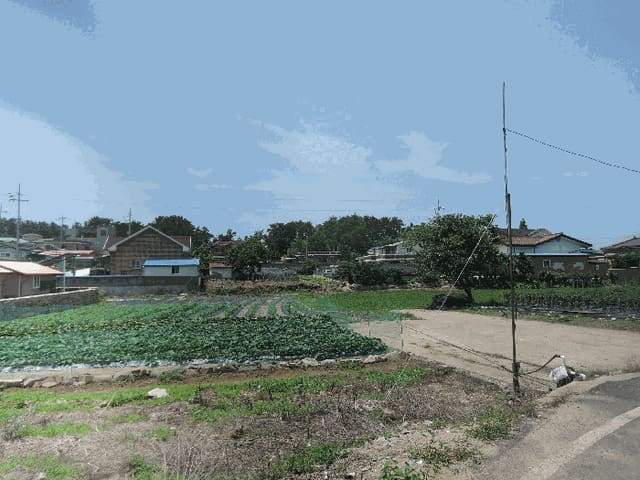 B000281202501300157764.jpg