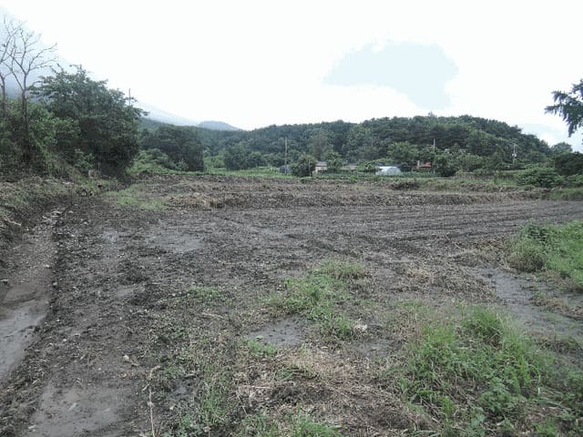B000281202501300157914.jpg