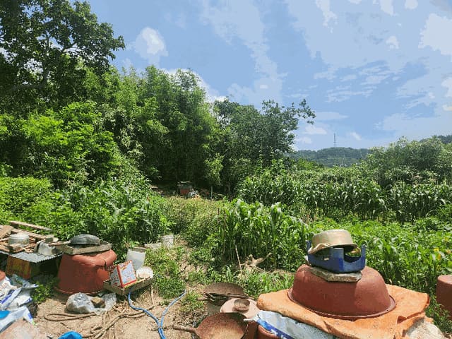 B000281202501300157964.jpg