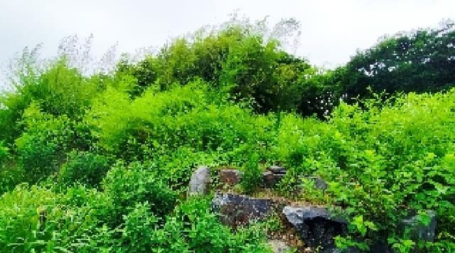 B000281202501300157963.jpg