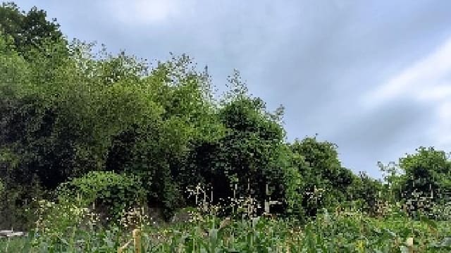 B000281202501300158042.jpg