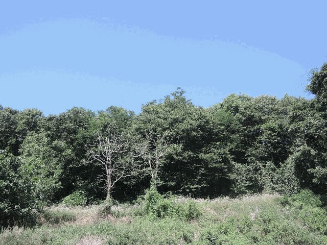 B000281202501300158153.jpg