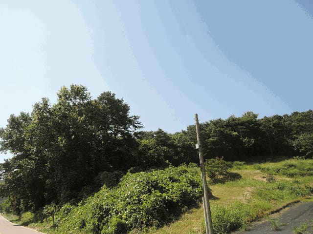 B000281202501300158152.jpg