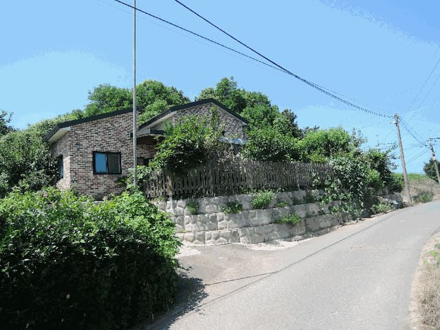B000281202501300158254.jpg