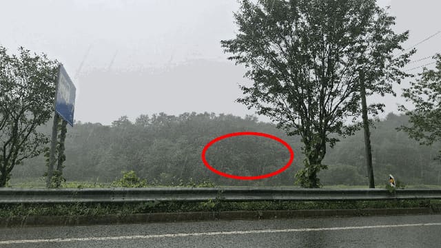 B000281202501300159284.jpg