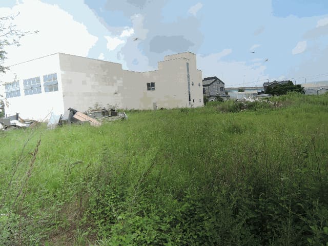 B000281202501300159424.jpg