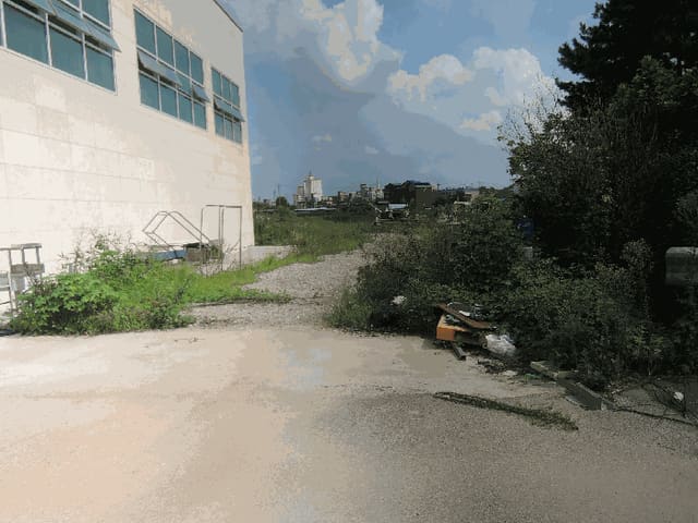 B000281202501300159423.jpg