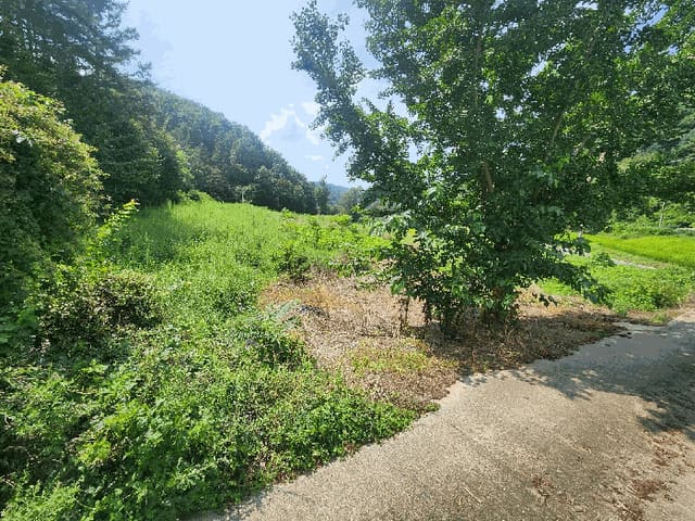 B000281202501300159444.jpg