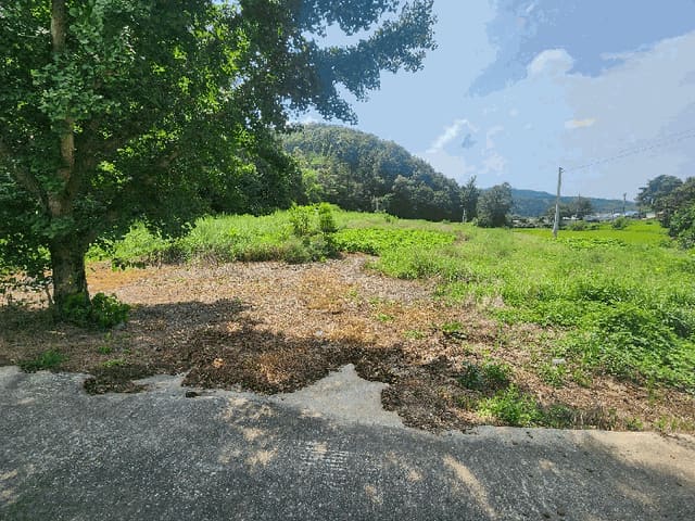 B000281202501300159443.jpg