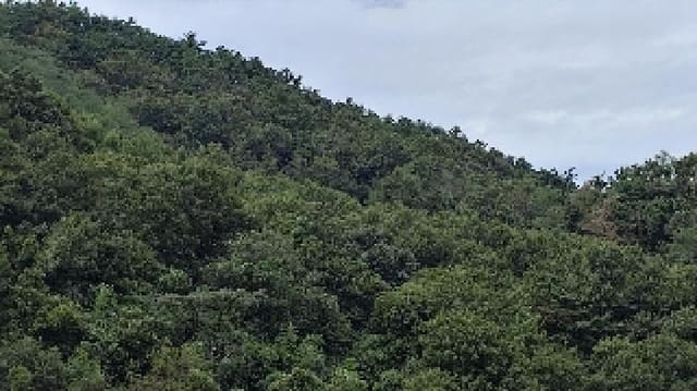 B000281202501300159601.jpg