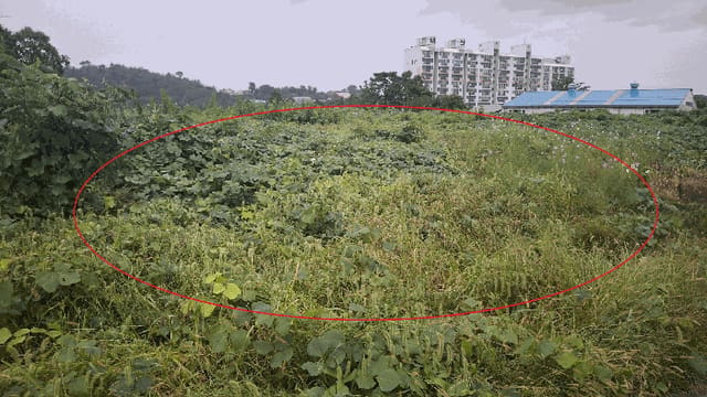 B000281202501300159824.jpg