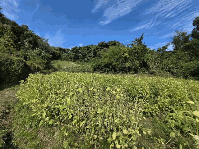 B000281202501300159884.jpg